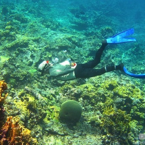 SNORKELING SAN ANDRES 